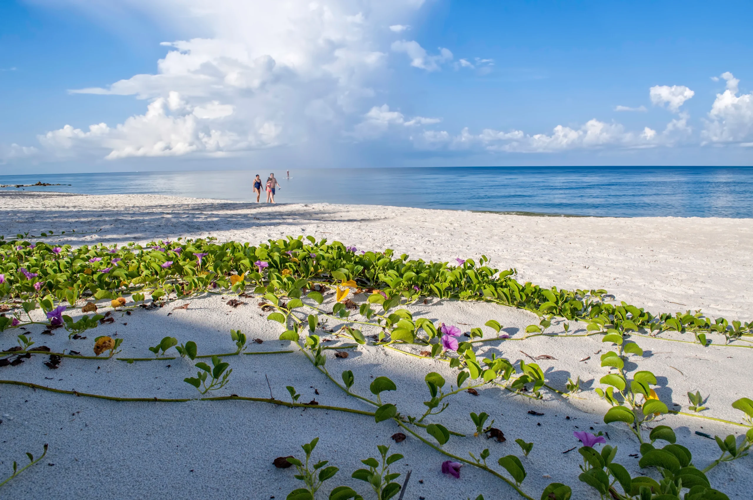 Naples Beach